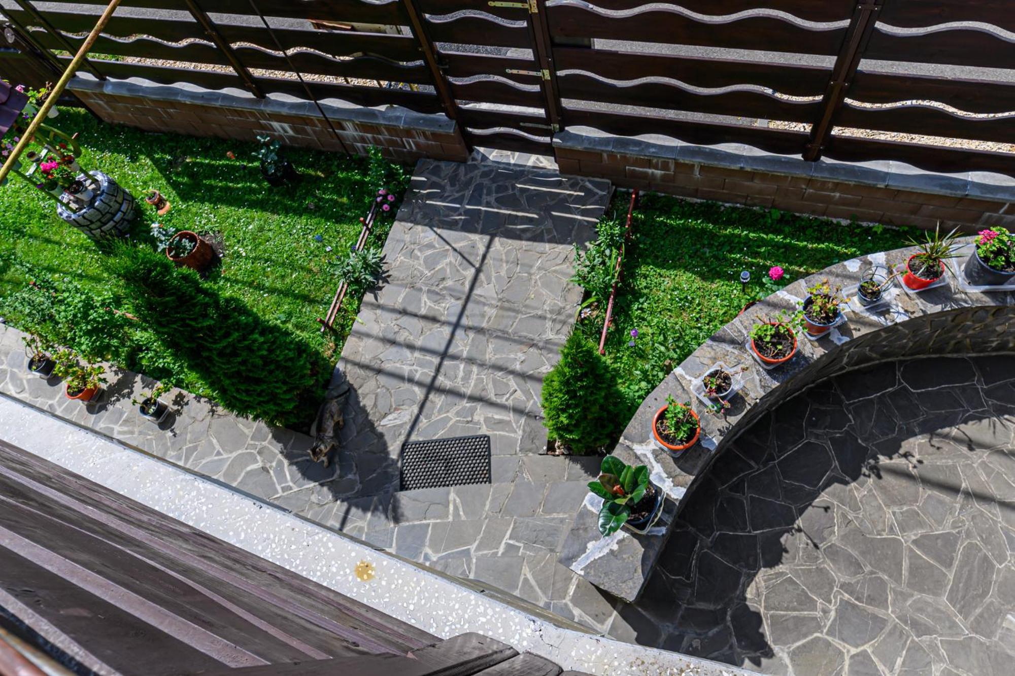 Hotel Casa Ramino Buşteni Exteriér fotografie